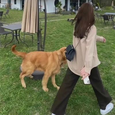 红纸鹤